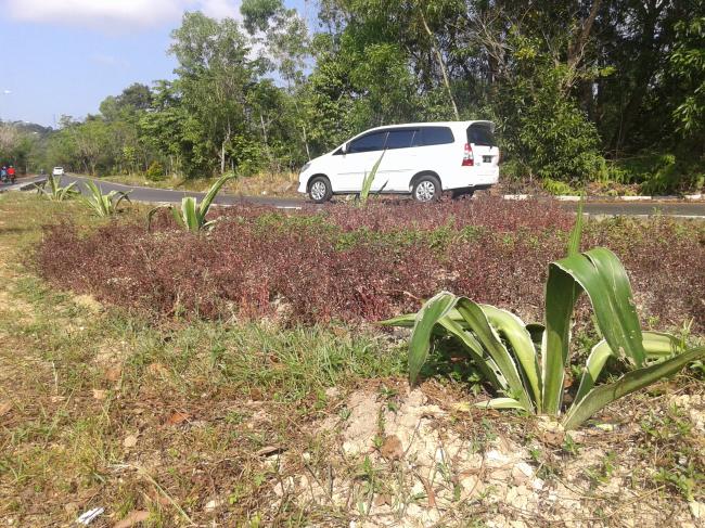 Taman Kota di Batam Ini Dibiarkan Terbengkalai